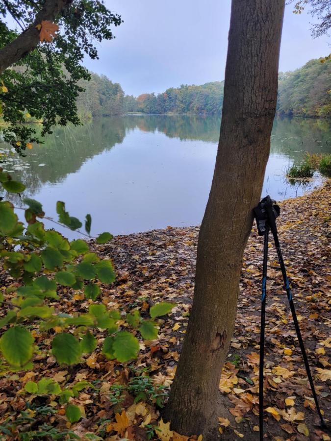 Lake Houselubniewice Domek Caloroczny Z Jacuzzi Blisko Jeziora Esterno foto